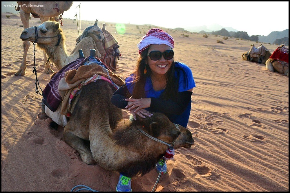 camel wadi rum