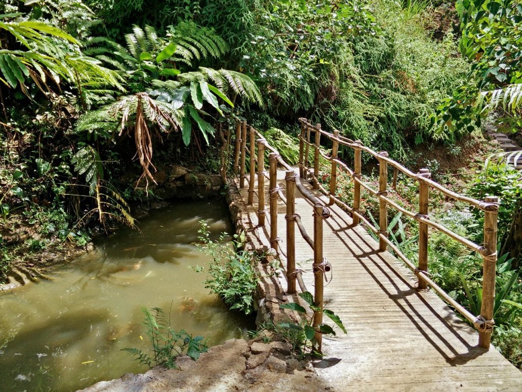 haranah eco-park bridge