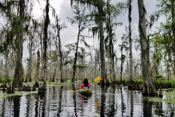 kayaking louisiana swamps